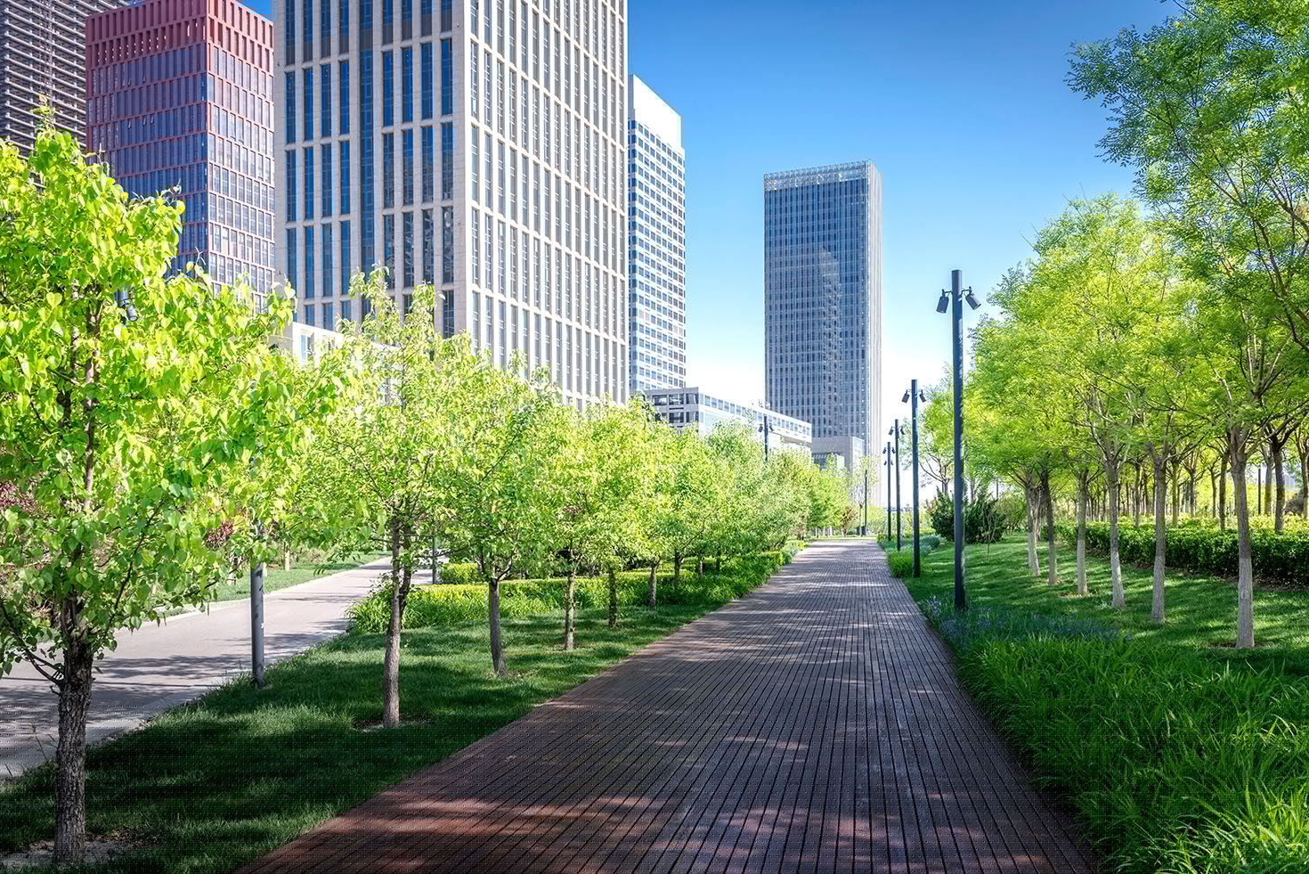 City Launches New Green Initiative